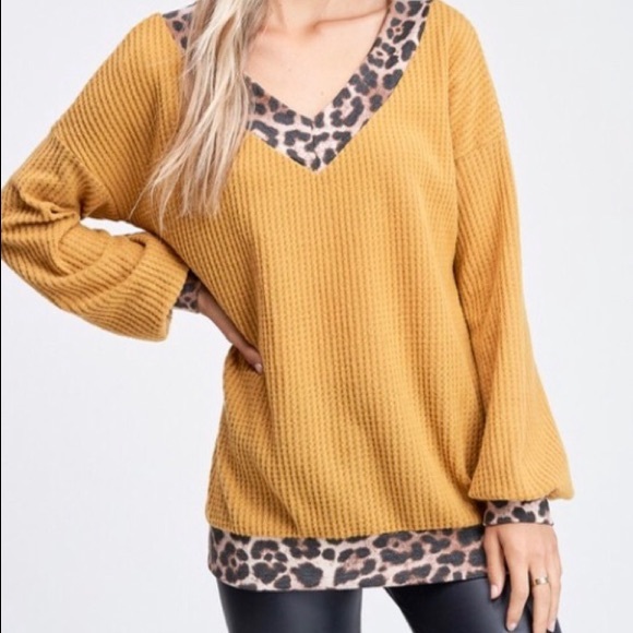 Cheetah Trim V-neck sweater top - Picture 3 of 7